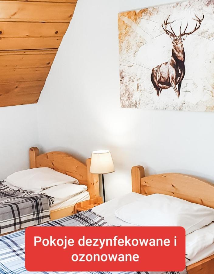 Zakopane Stop المظهر الخارجي الصورة